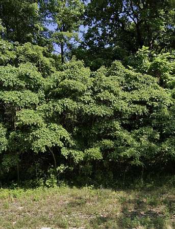 77 Acres of Recreational Land for Sale in Pullman, Michigan