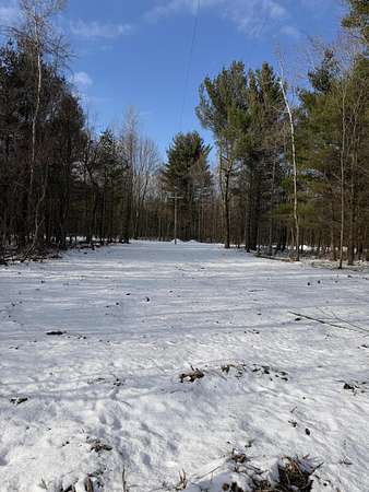 80 Acres of Recreational Land for Sale in Pullman, Michigan