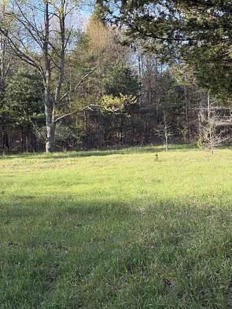 80 Acres of Recreational Land for Sale in Pullman, Michigan