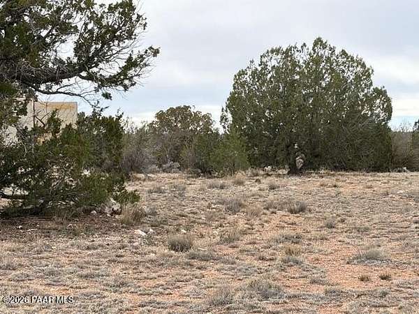 39.8 Acres of Recreational Land for Sale in Seligman, Arizona