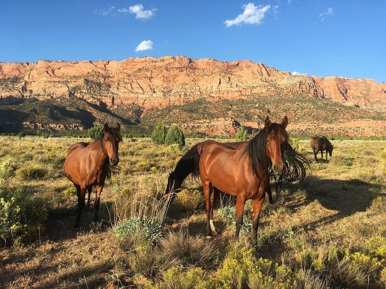 20 Acres of Land for Sale in Apple Valley, Utah