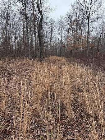 5 Acres of Residential Land for Sale in Hurricane Mills, Tennessee