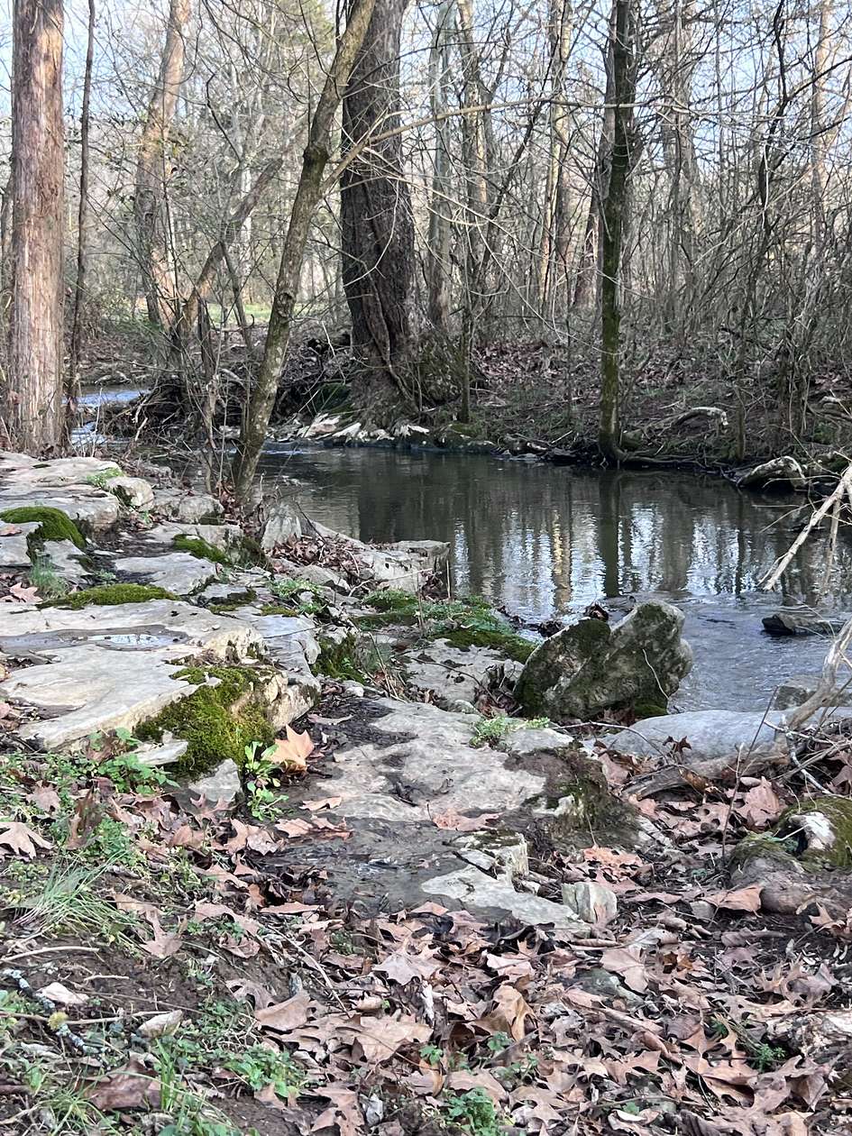 5.4 Acres of Land with Home for Sale in Shelbyville, Tennessee
