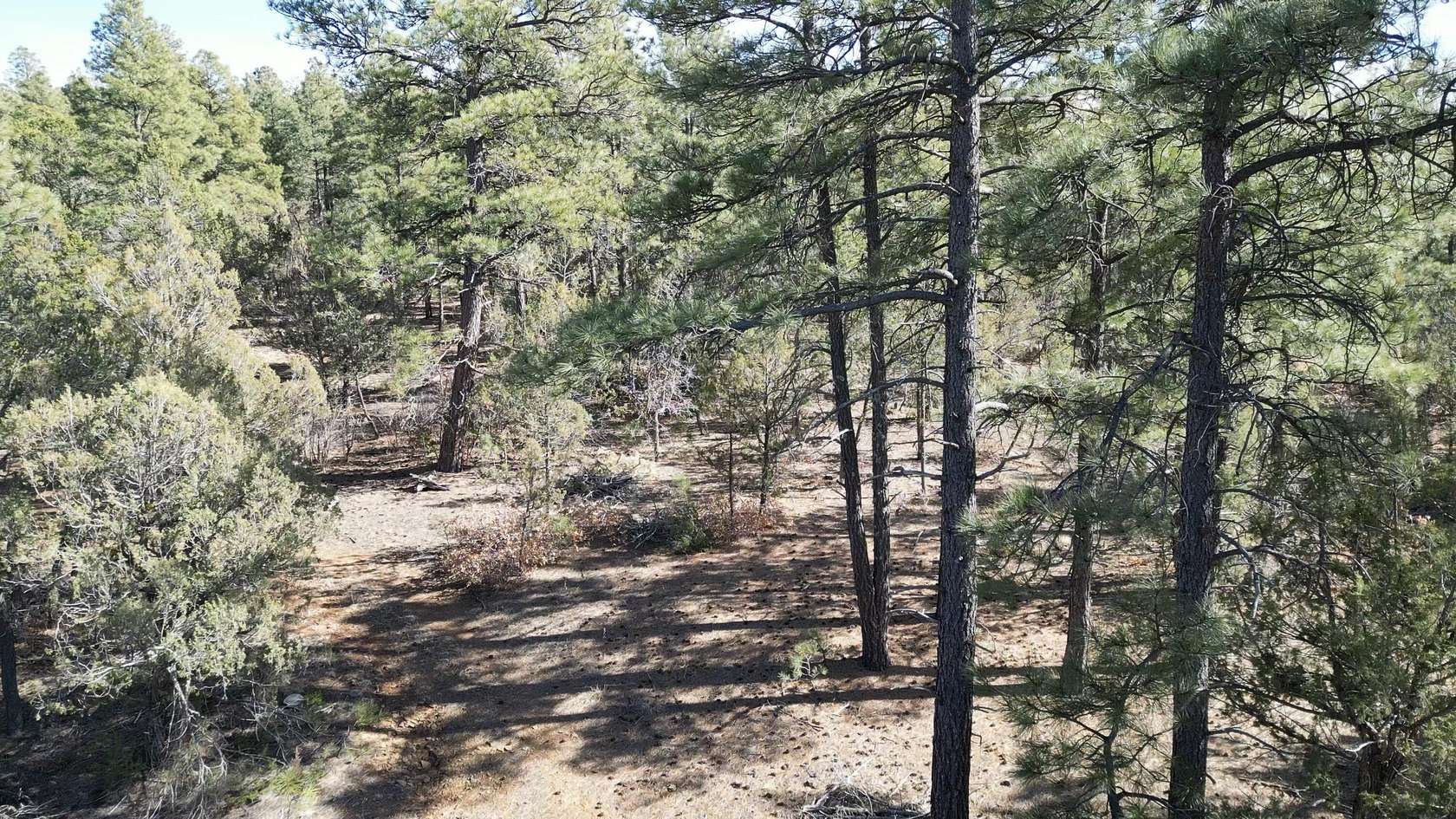 104 Acres of Land for Sale in Tijeras, New Mexico