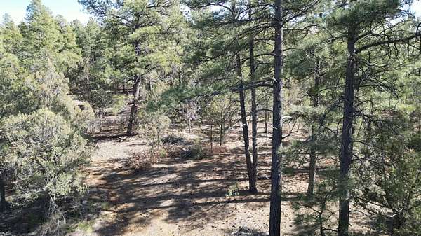 104 Acres of Land for Sale in Tijeras, New Mexico