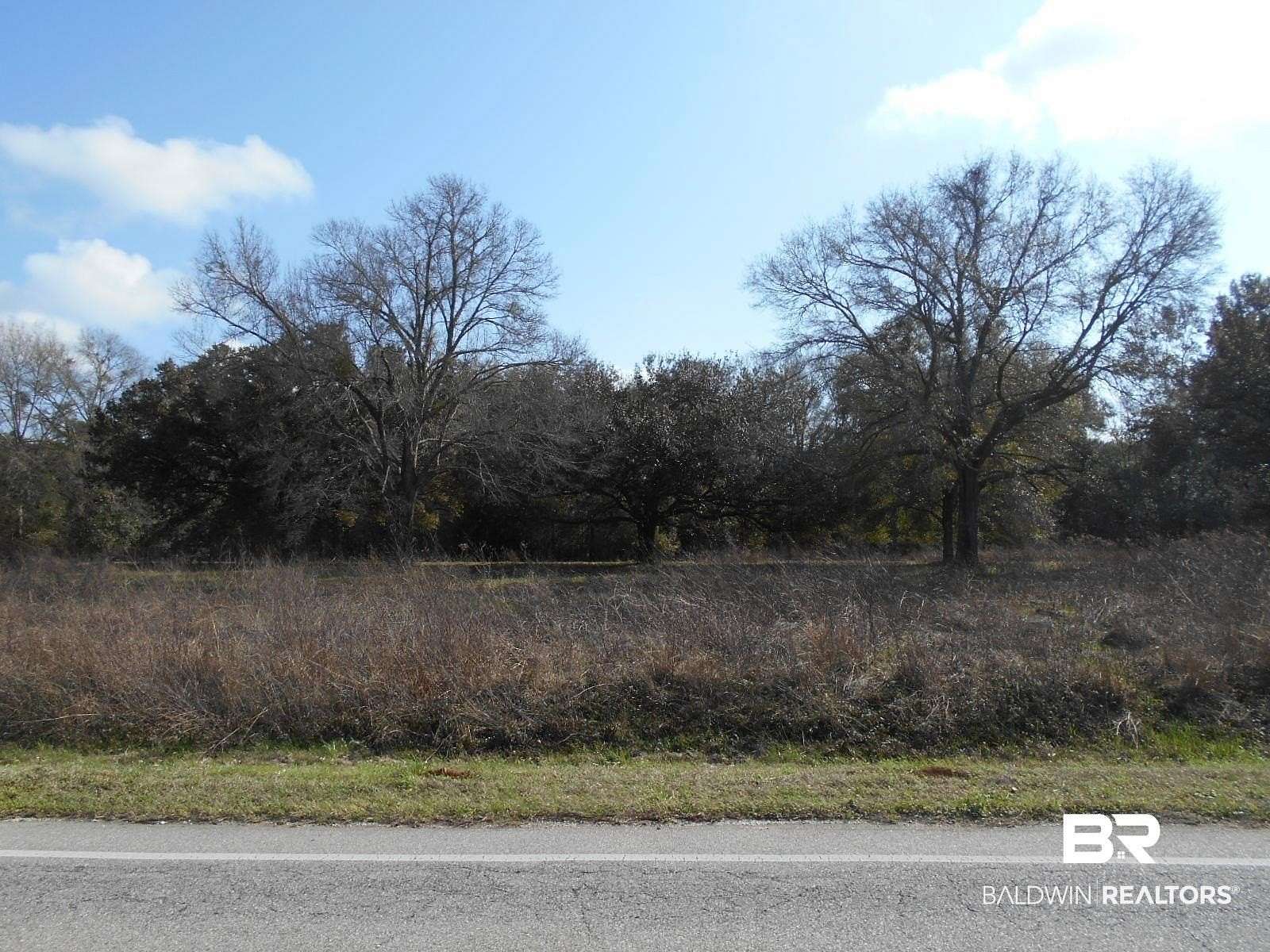 37.5 Acres of Recreational Land for Sale in Fairhope, Alabama