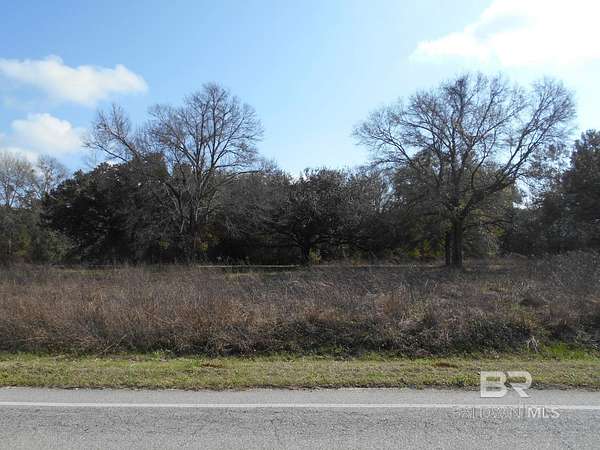 37.5 Acres of Recreational Land for Sale in Fairhope, Alabama