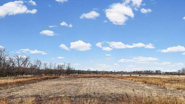 33 Acres of Recreational Land for Sale in Farmer City, Illinois