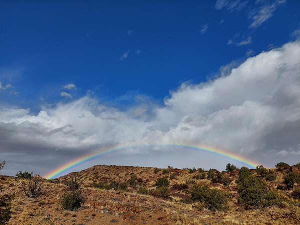 20 Acres of Land for Sale in Riley, New Mexico