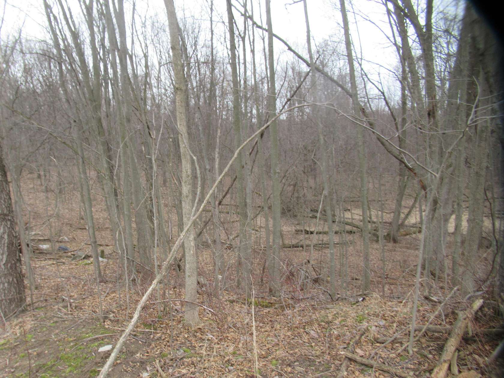 20 Acres of Land for Sale in Cassopolis, Michigan