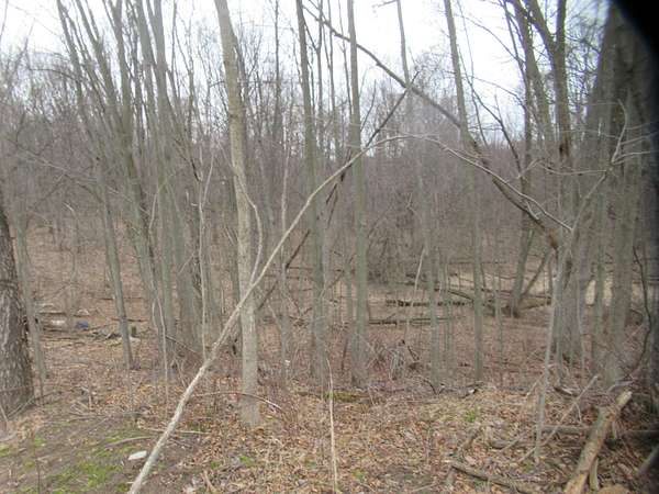 20 Acres of Land for Sale in Cassopolis, Michigan
