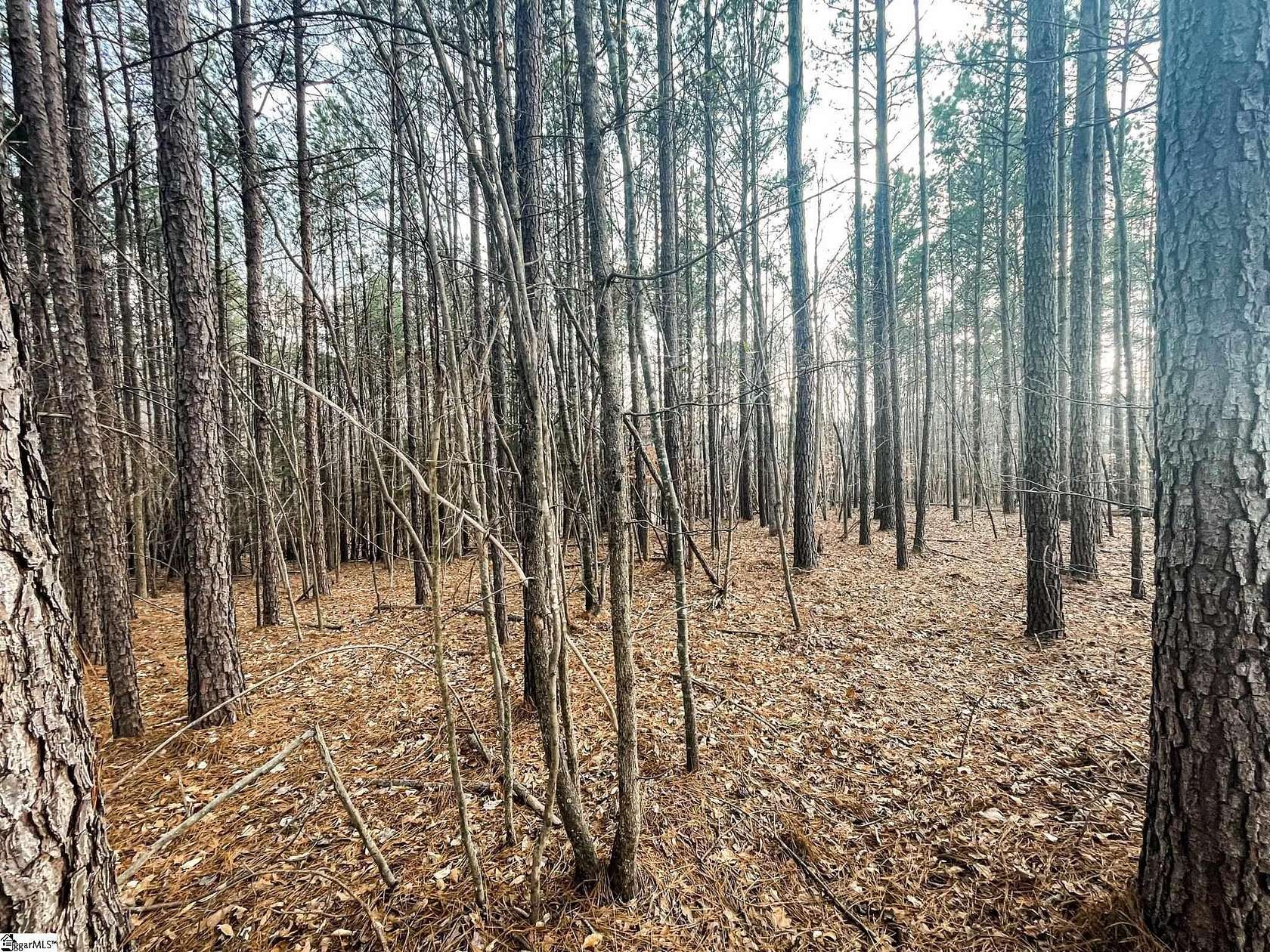 15 Acres of Land for Sale in Union, South Carolina