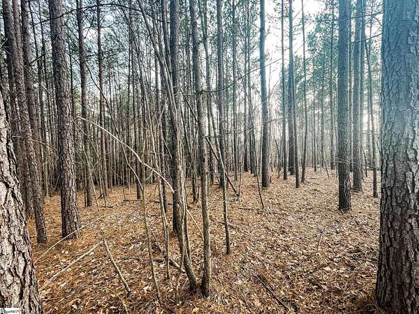 15 Acres of Land for Sale in Union, South Carolina
