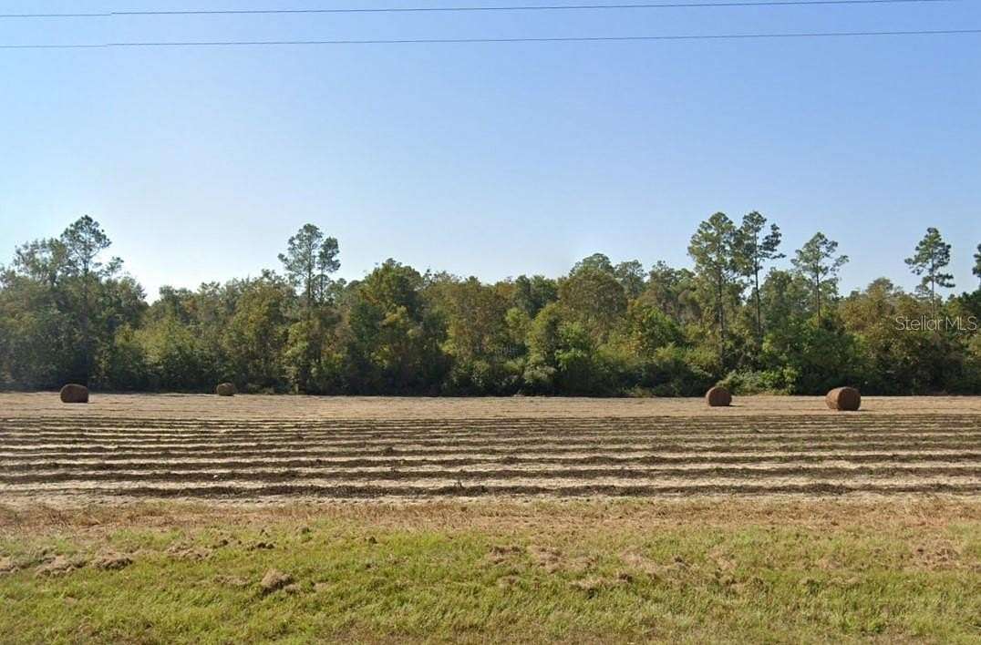 46 Acres of Recreational & Residential Land for Sale in Cottondale, Florida