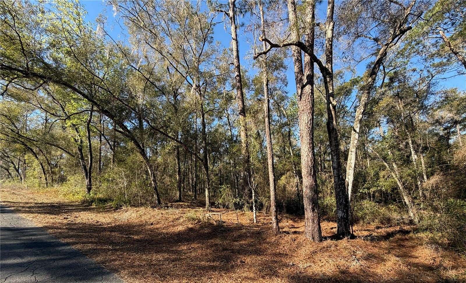 2.6 Acres of Residential Land for Sale in Inverness, Florida
