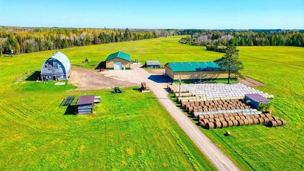 80 Acres of Land for Sale in Toivola, Minnesota