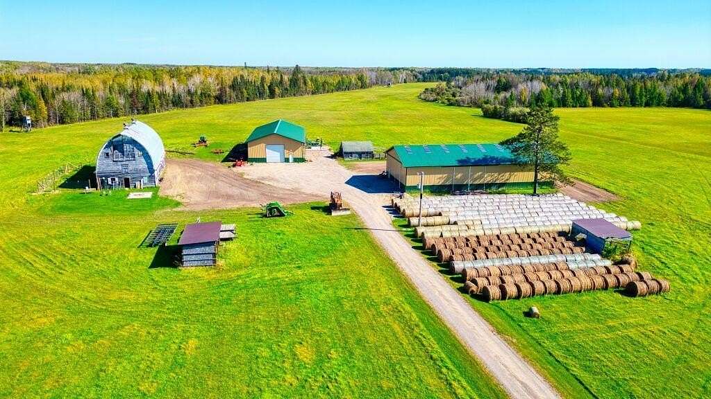 80 Acres of Land for Sale in Toivola, Minnesota