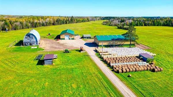 80 Acres of Land for Sale in Toivola, Minnesota