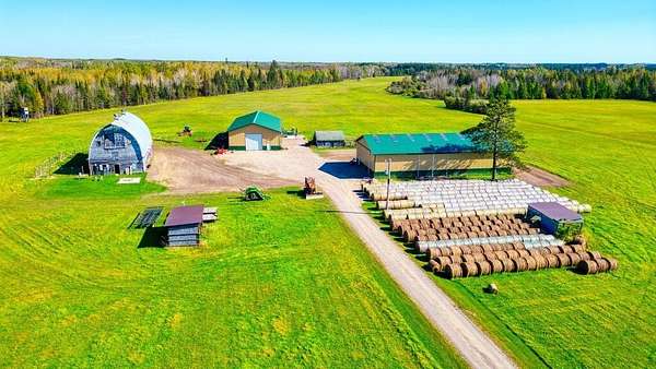 80 Acres of Land for Sale in Toivola, Minnesota