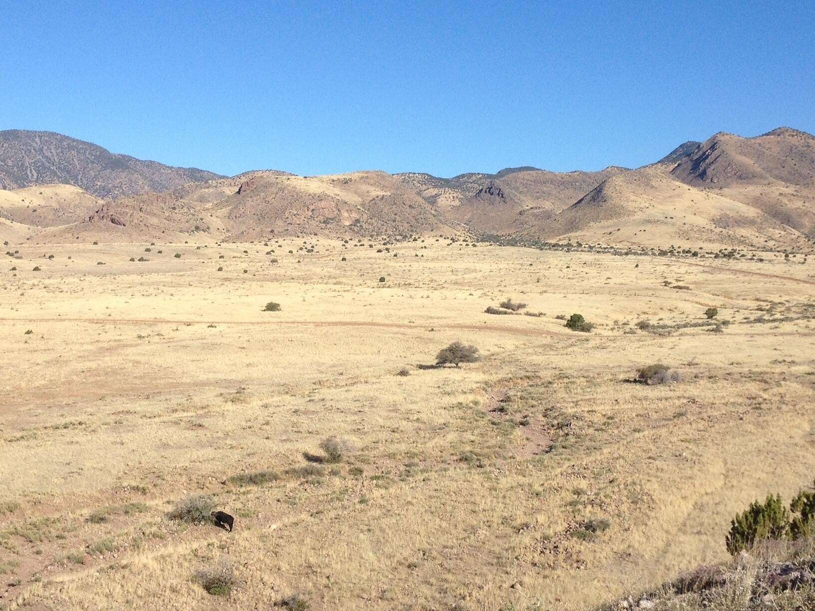 26.7 Acres of Land for Sale in San Antonio, New Mexico