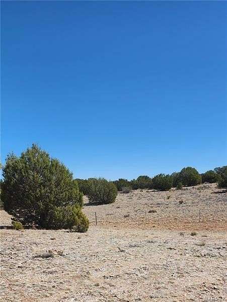 20.3 Acres of Recreational Land for Sale in Seligman, Arizona