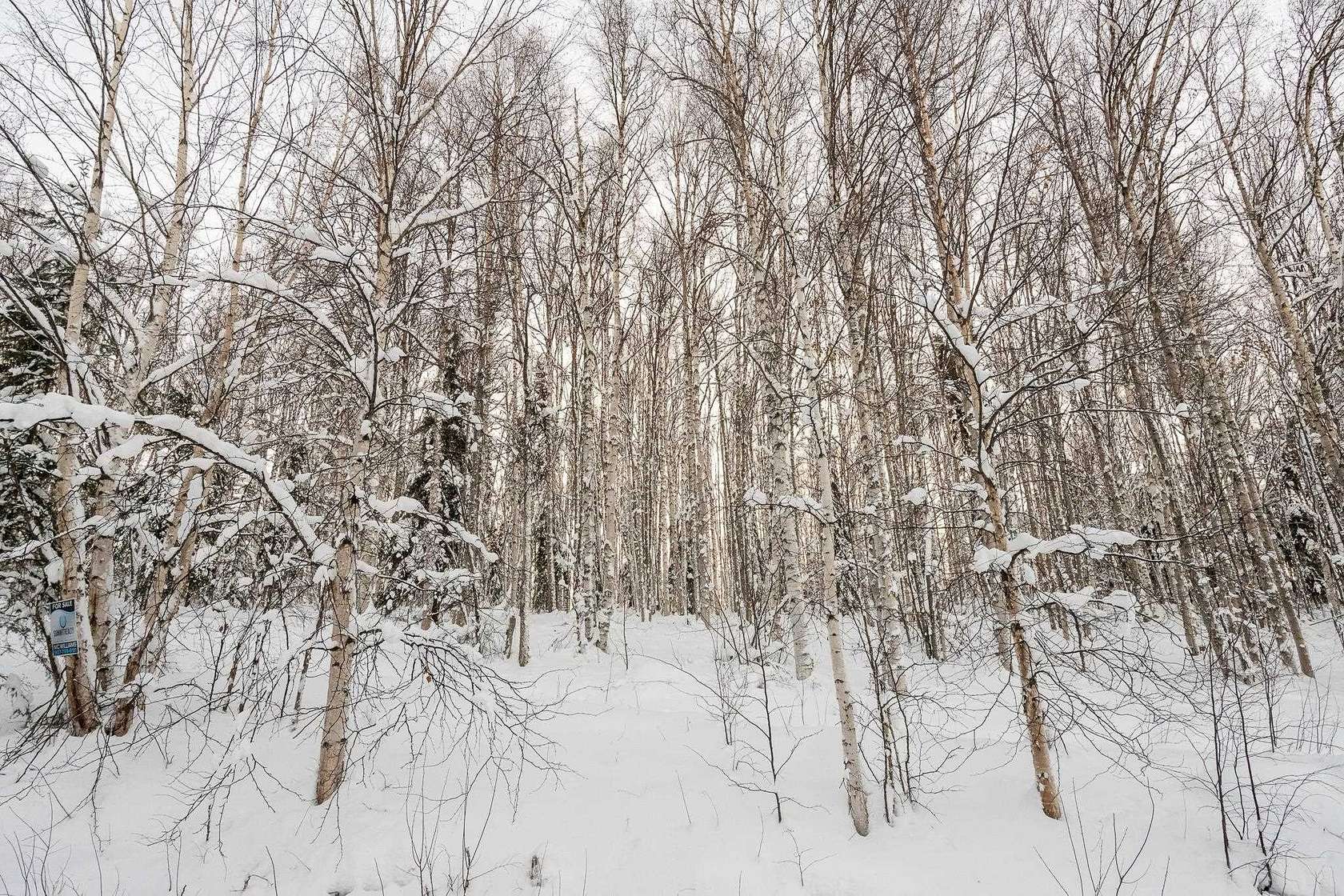 3 Acres of Residential Land for Sale in Fairbanks, Alaska