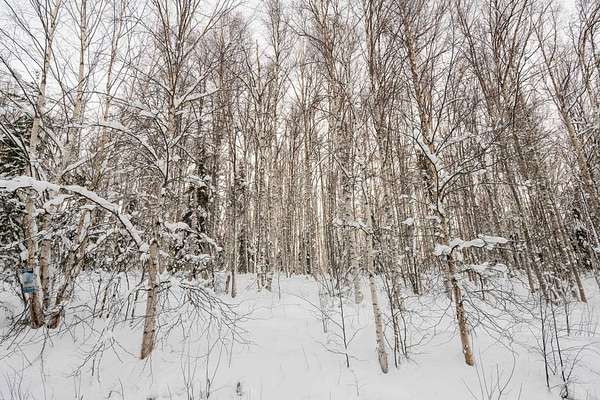3 Acres of Residential Land for Sale in Fairbanks, Alaska