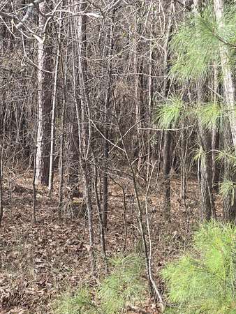 8.49 Acres of Residential Land for Sale in Lincolnton, Georgia