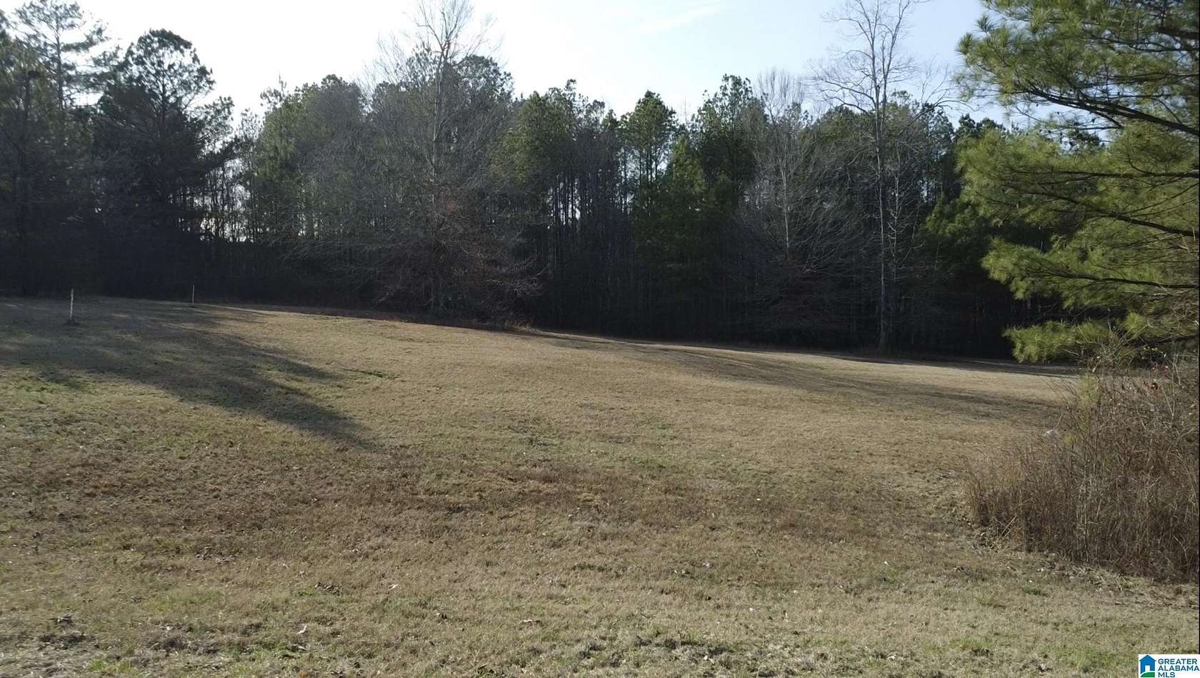1.65 Acres of Residential Land for Sale in Lincoln, Alabama