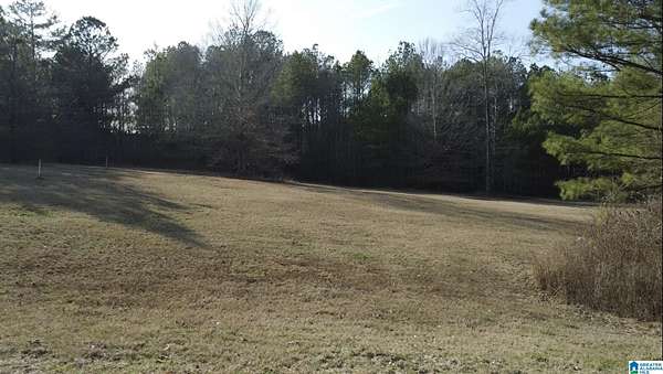 1.65 Acres of Residential Land for Sale in Lincoln, Alabama