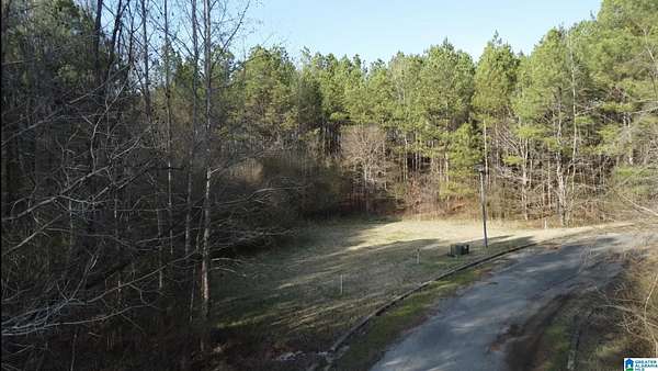2.73 Acres of Residential Land for Sale in Lincoln, Alabama
