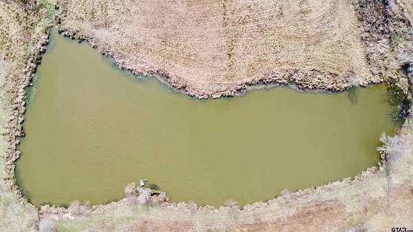 30.3 Acres of Land for Sale in Linden, Texas