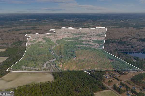 579 Acres of Recreational & Residential Land for Sale in Brooklet, Georgia