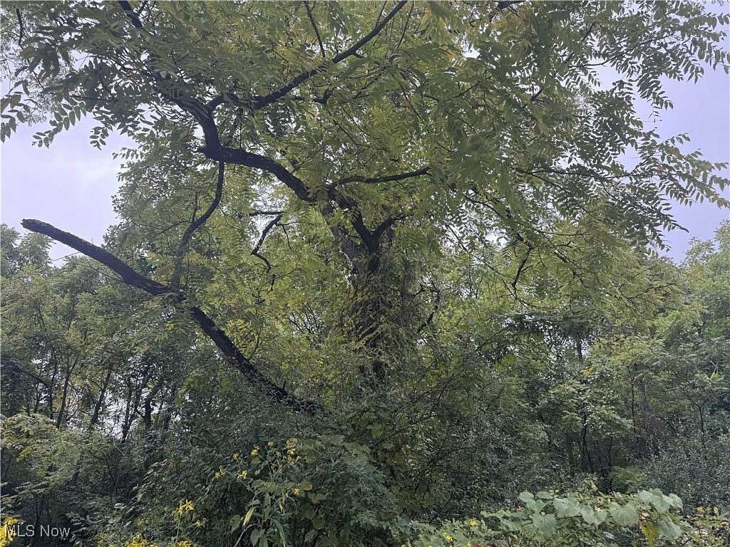 28.7 Acres of Recreational & Residential Land for Sale in Woodsfield, Ohio