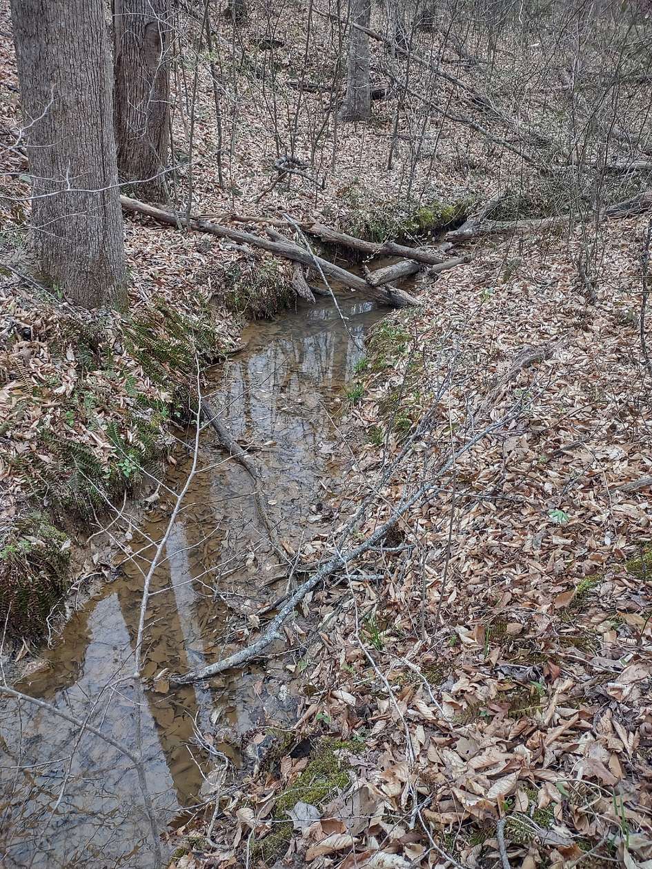 40 Acres of Land for Sale in Scotts Hill, Tennessee