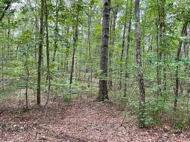 3 Acres of Residential Land for Sale in Monteagle, Tennessee