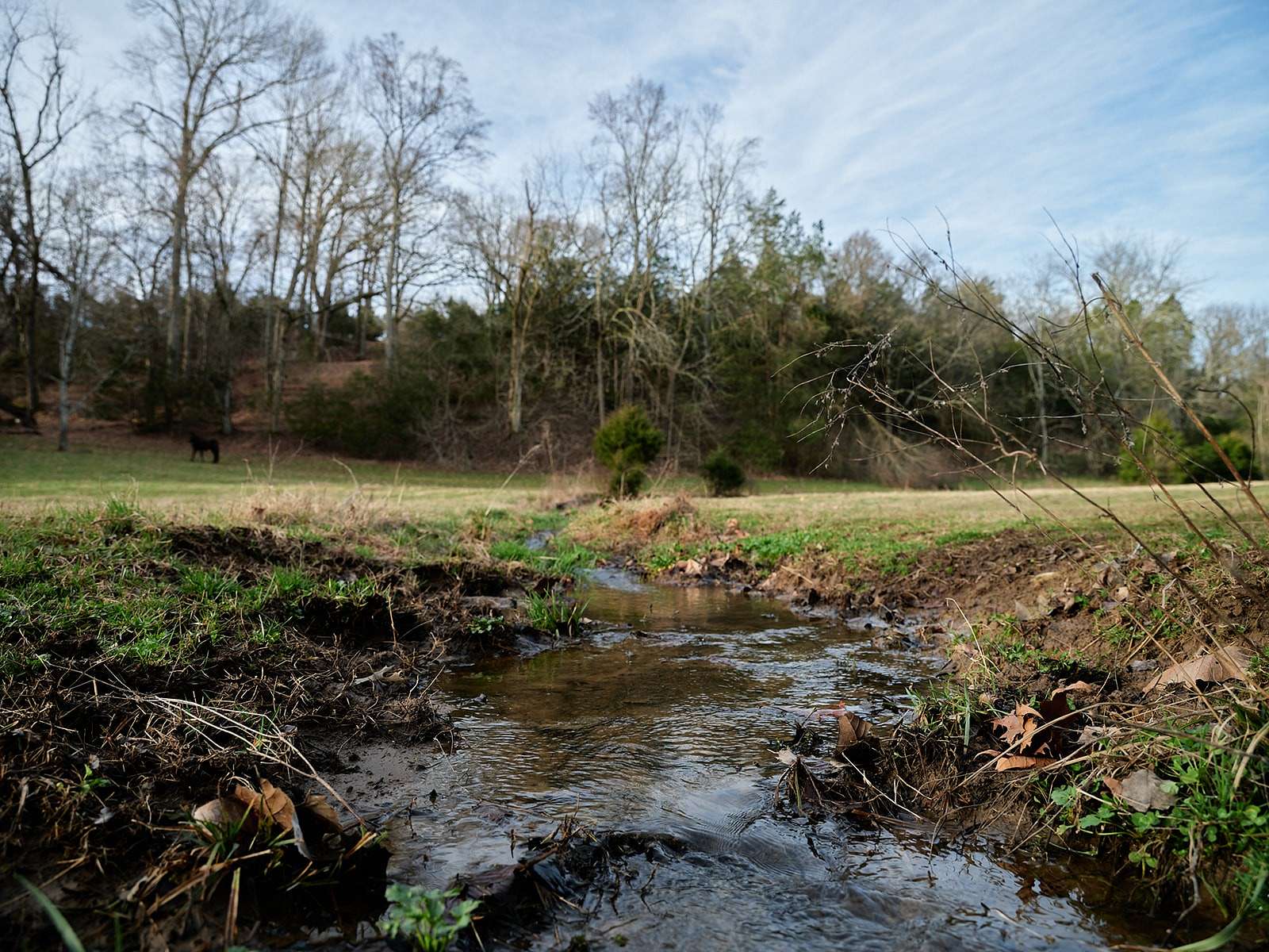 25.1 Acres of Agricultural & Residential Land for Sale in Columbia, Tennessee