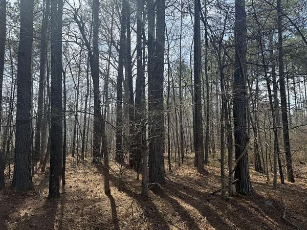 0.4 Acres of Land for Sale in Columbus, Mississippi