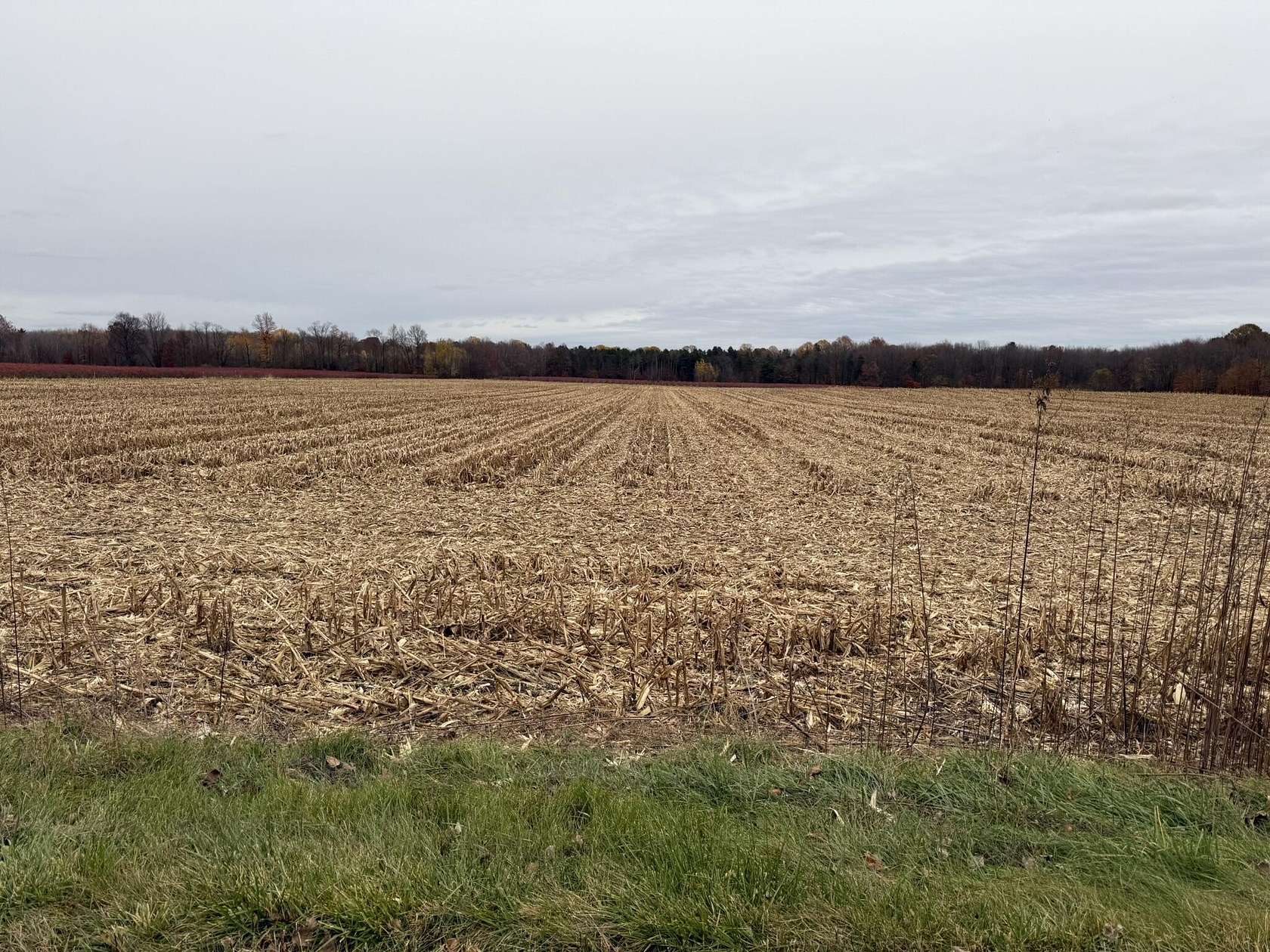 2 Acres of Land for Sale in Bangor, Michigan