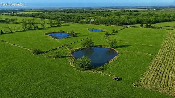 140 Acres of Land for Sale in Lamar, Missouri