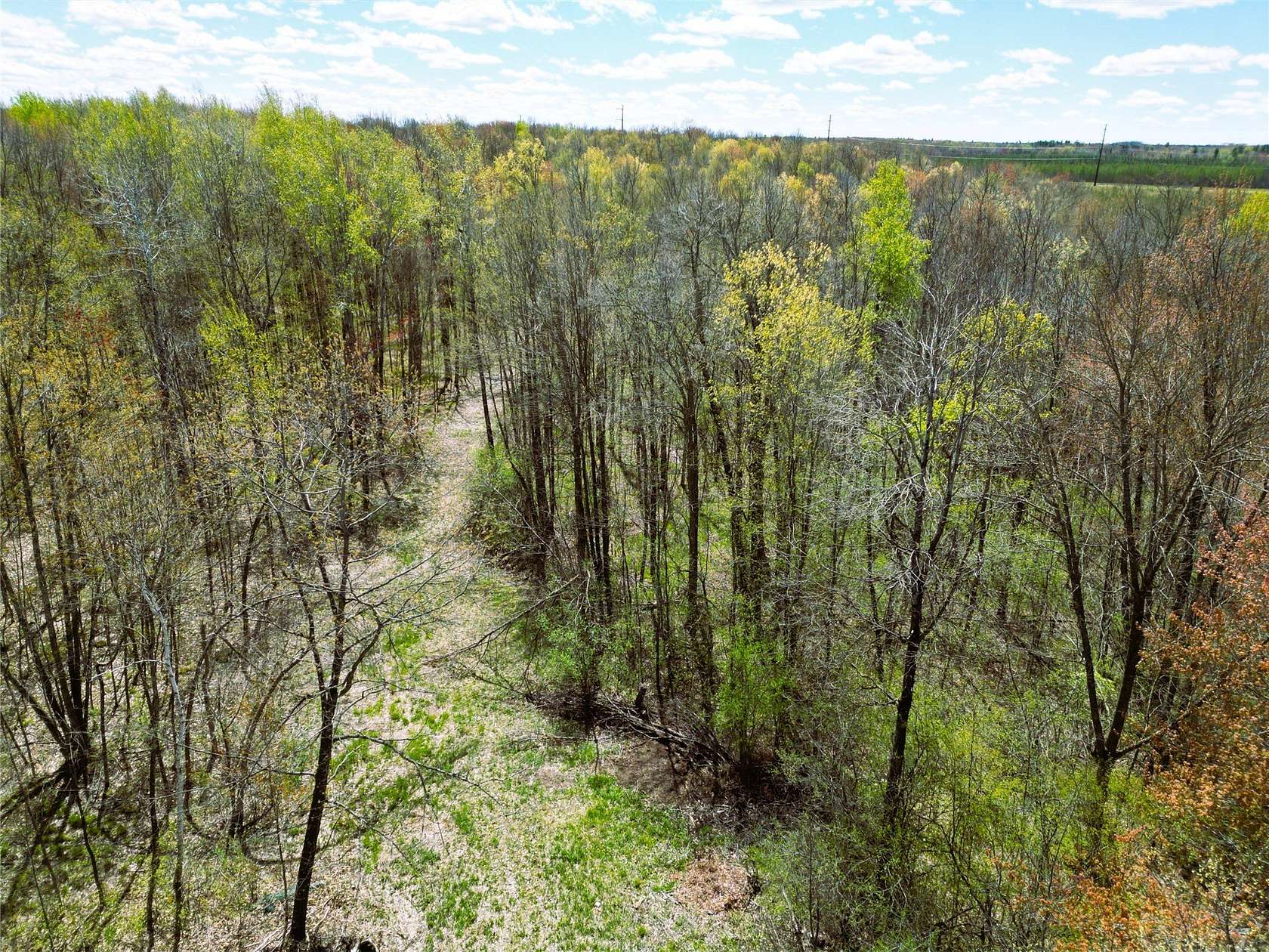 96.4 Acres of Recreational Land for Sale in Ladysmith, Wisconsin