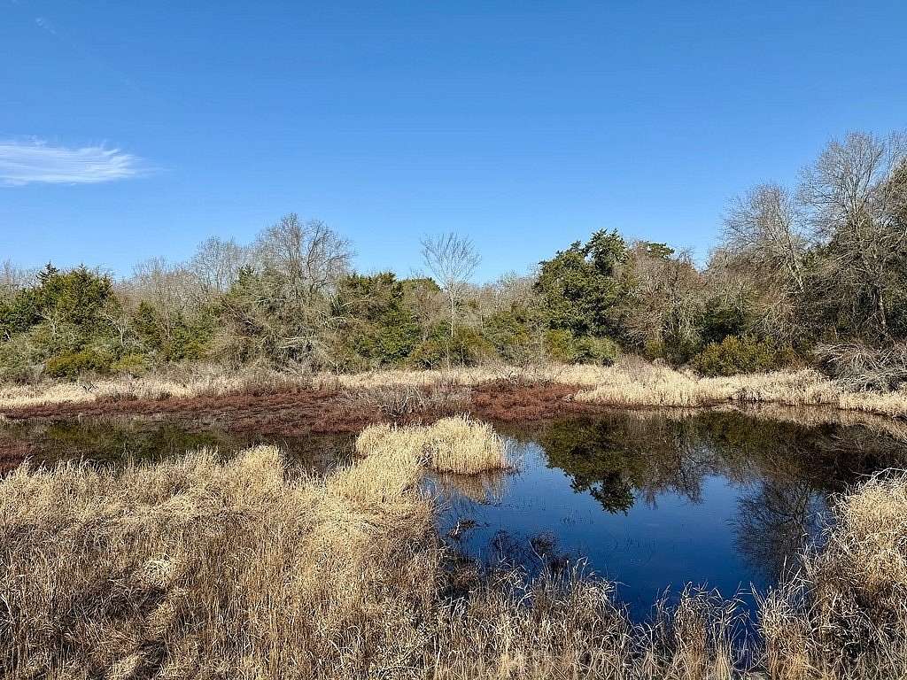 1,021 Acres of Land for Sale in Mexia, Texas