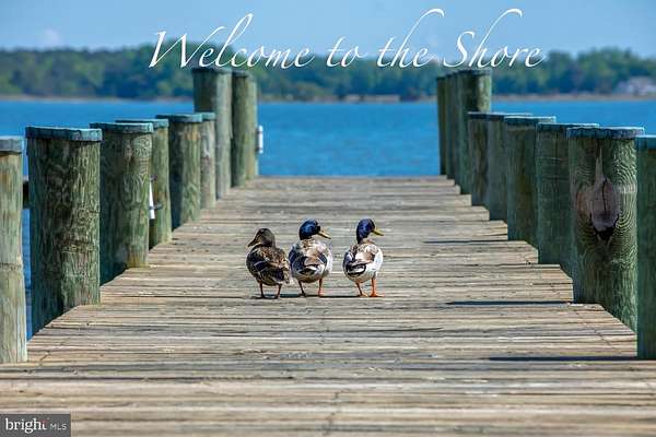 1 Acre of Land for Sale in Church Hill, Maryland