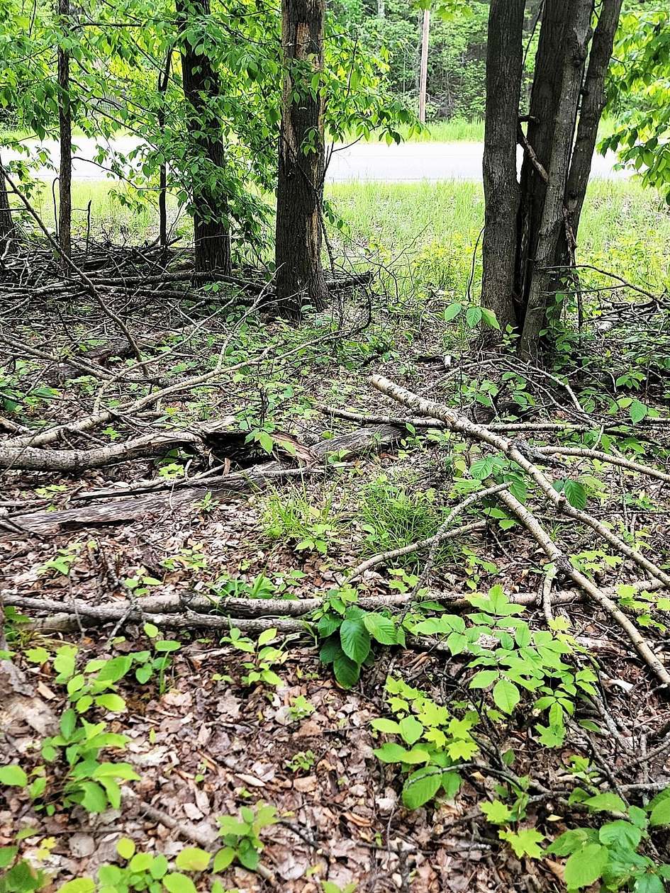 0.35 Acres of Land for Sale in Wolverine, Michigan