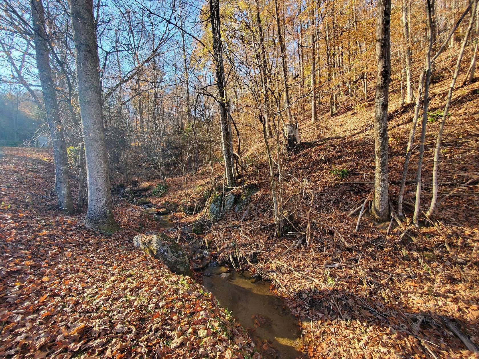 4.6 Acres of Residential Land for Sale in Roan Mountain, Tennessee
