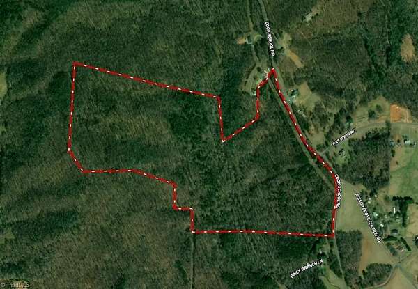 97 Acres of Land for Sale in Pilot Mountain, North Carolina