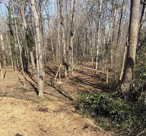 0.49 Acres of Residential Land for Sale in Hiram, Georgia