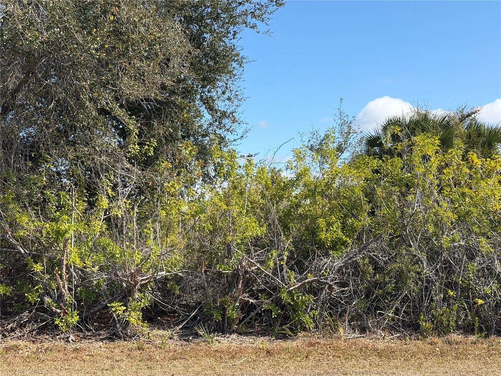 0.23 Acres of Residential Land for Sale in Port Charlotte, Florida