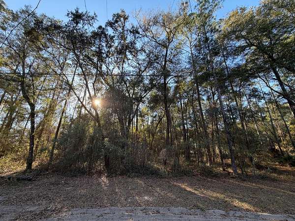 1.24 Acres of Land for Sale in Fort McCoy, Florida