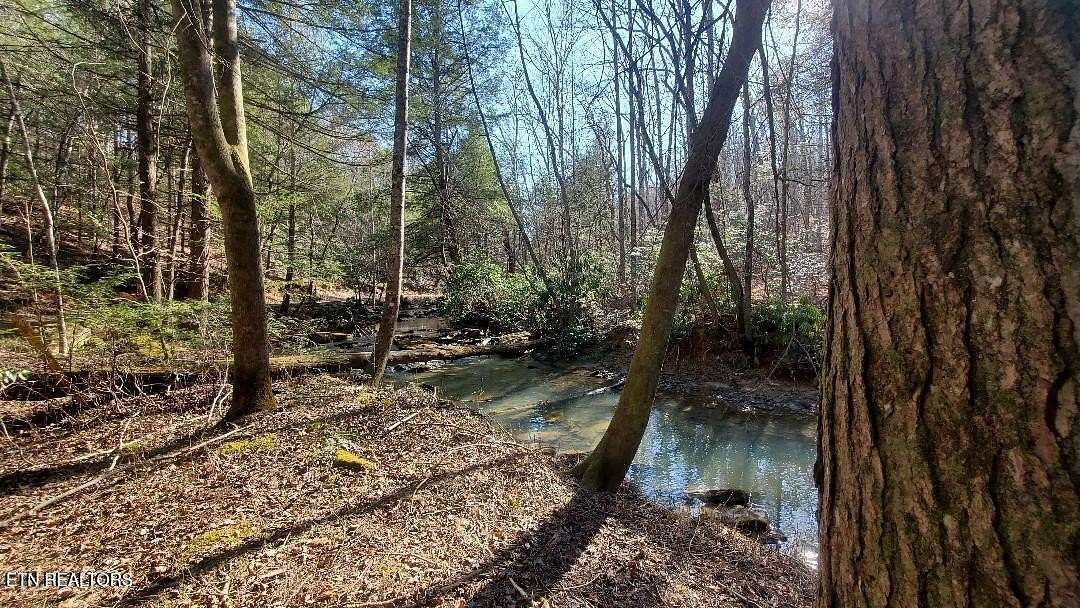 91.5 Acres of Recreational Land for Sale in Robbins, Tennessee